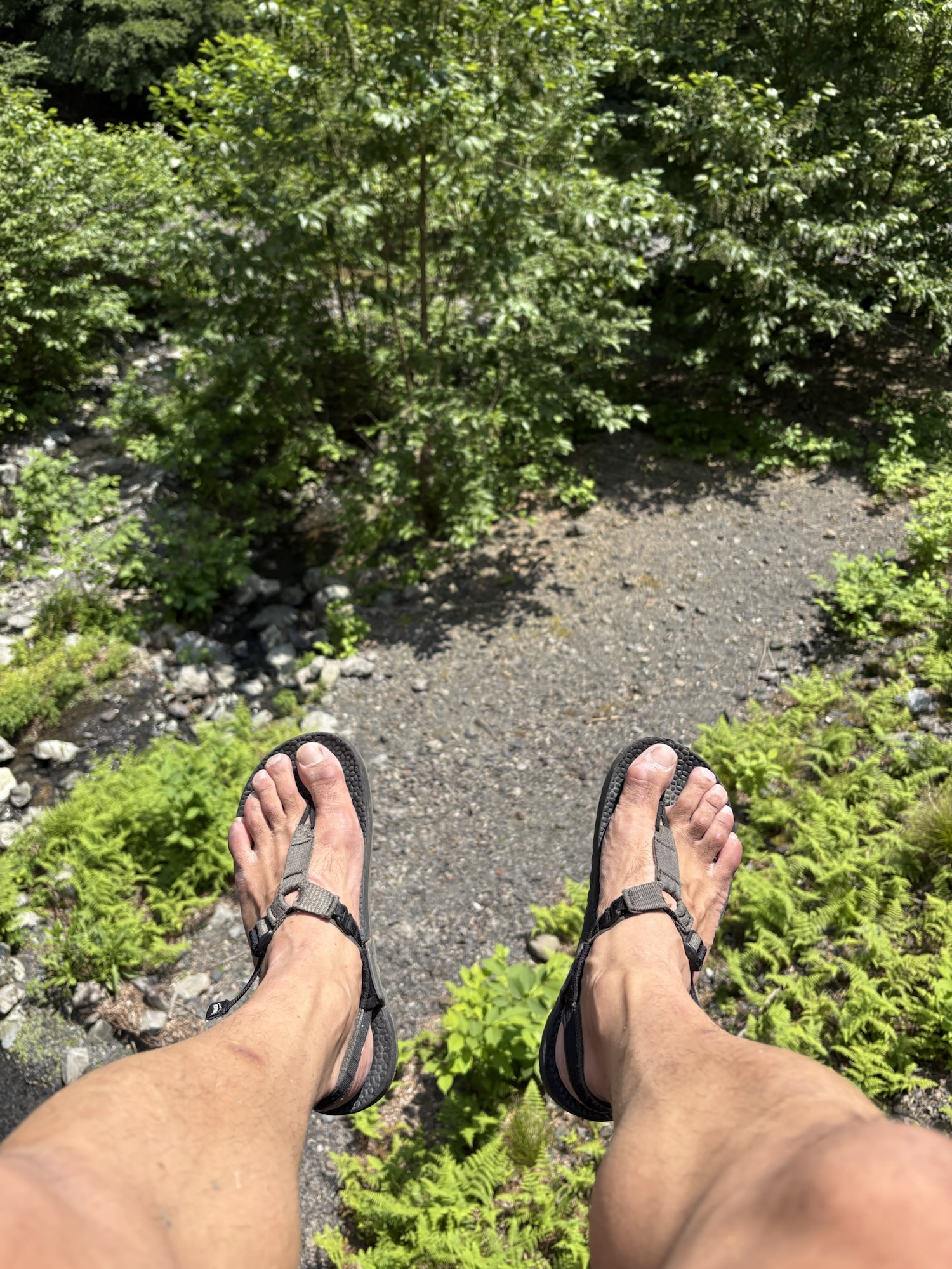 【BEDROCK SANDALS】Cairn Evo C Sandals(color:Black) - 画像 (8)